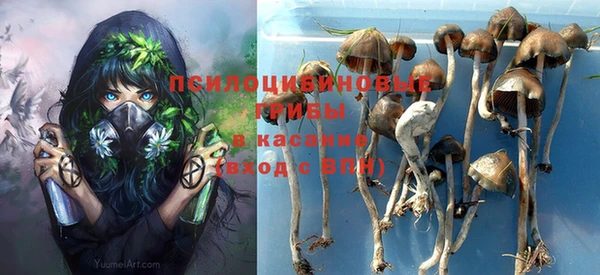 мяу мяу мука Арсеньев