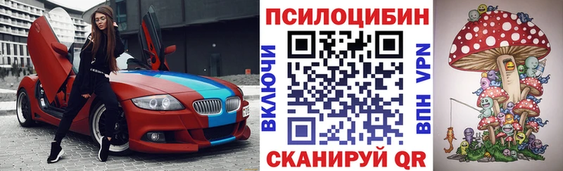 продажа наркотиков  нарко площадка наркотические препараты  Галлюциногенные грибы прущие грибы  Кинель  MEGA рабочий сайт 